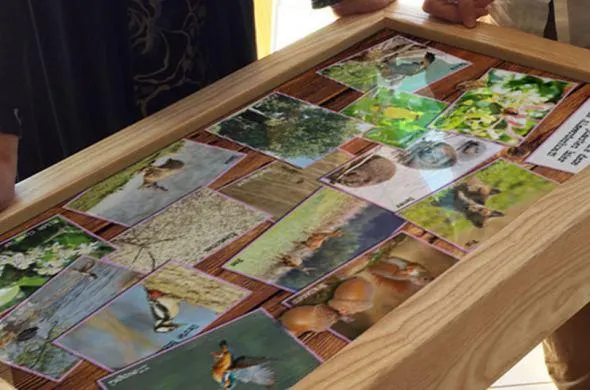 Mooi interactieve case voor Staatsbosbeheer in samenwerking met Peerdrops